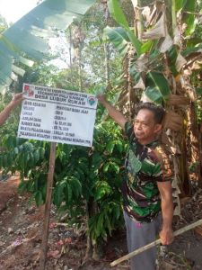 Dugaan Korupsi Kajari Lamura Akan Audit Desa di Kecamatan Hulu Sungkai